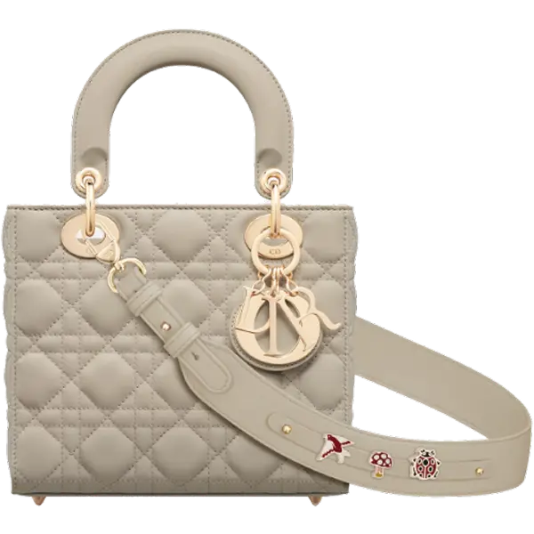 dior-purse